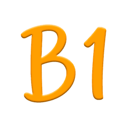 B1 Level 