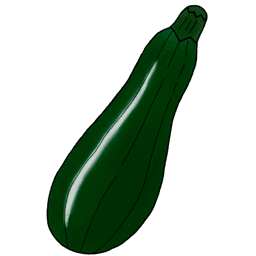 zucchini
