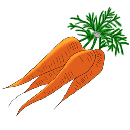 carrot