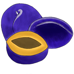 plum