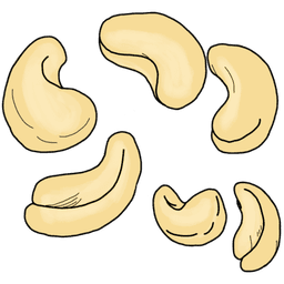 cashew