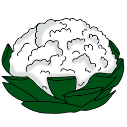 cauliflower