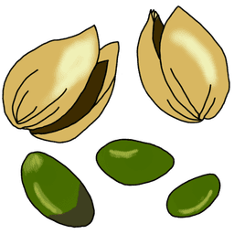 pistachio