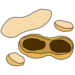 peanut