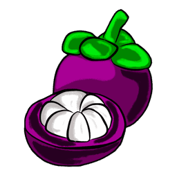 mangosteen