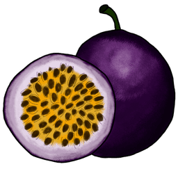 passion fruit