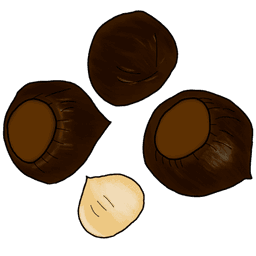 hazelnut